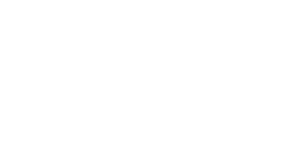 USED CAR TRAILER